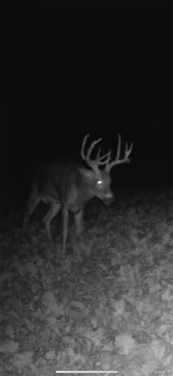 Tiny photo for 0 Highway D - Tract 6a (12.1+/- Acres), Eolia, MO 63344 (MLS # 26055237)