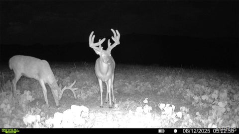 Tiny photo for 0 Highway D - Tract 6a (12.1+/- Acres), Eolia, MO 63344 (MLS # 26055237)