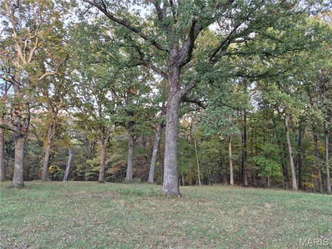 Tiny photo for 0 Highway D - Tract 6a (12.1+/- Acres), Eolia, MO 63344 (MLS # 26055237)