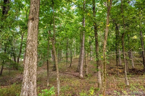 Tiny photo for 0 Highway D - Tract 6a (12.1+/- Acres), Eolia, MO 63344 (MLS # 26055237)