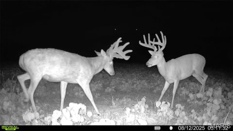 Tiny photo for 0 Highway D - Tract 6a (12.1+/- Acres), Eolia, MO 63344 (MLS # 26055237)