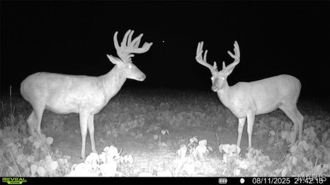 Tiny photo for 0 Highway D - Tract 6a (12.1+/- Acres), Eolia, MO 63344 (MLS # 26055237)