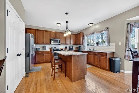 Tiny photo for 42 Riverdell Court, Wentzville, MO 63385 (MLS # 26020724)