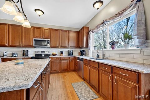 Tiny photo for 42 Riverdell Court, Wentzville, MO 63385 (MLS # 26020724)