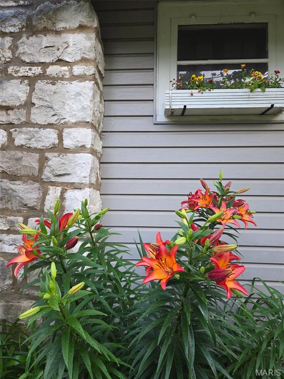 St Louis, Missouri 63129, United States, 3 Bedrooms Bedrooms, ,2 BathroomsBathrooms,Residential,Active,158576