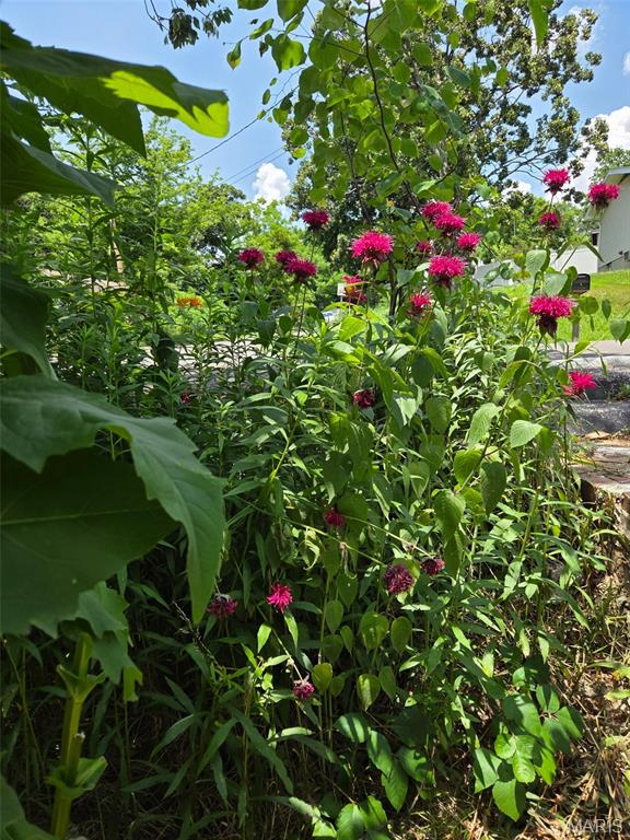 St Louis, Missouri 63129, United States, 3 Bedrooms Bedrooms, ,2 BathroomsBathrooms,Residential,Active,158576