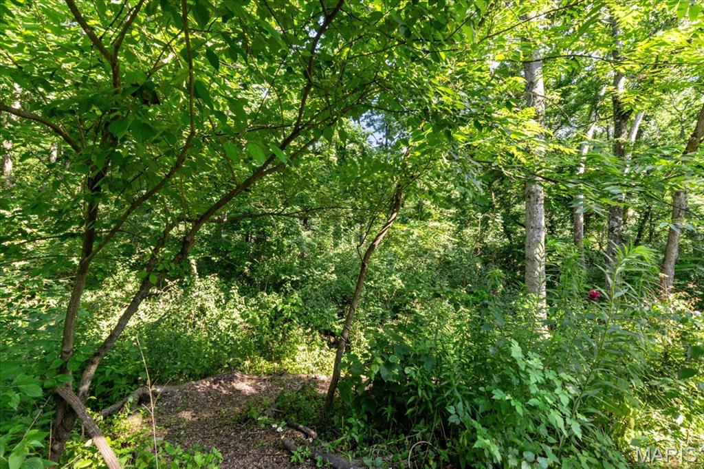 St Louis, Missouri 63129, United States, 3 Bedrooms Bedrooms, ,2 BathroomsBathrooms,Residential,Active,158576