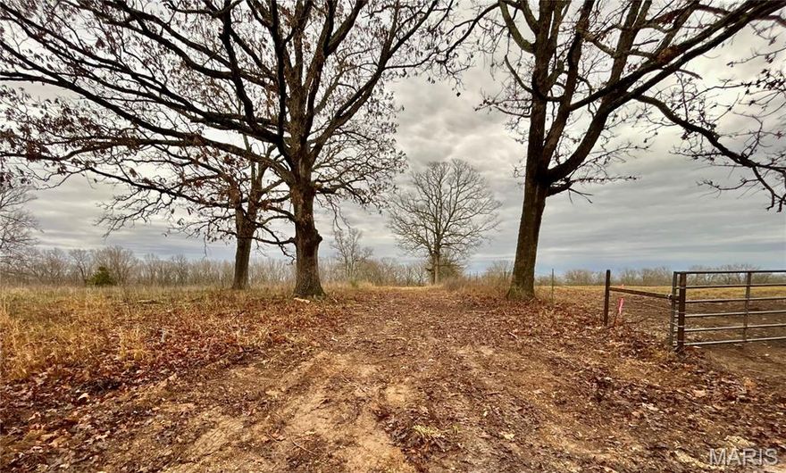 This 20+/- acres of adventure is awaiting its new owner!! If you are looking for a versatile property to hunt, explore, build your dream home & be 7 minutes from Salem, then this one is worth your time to look at. The property has marketable timber including ancient white oak, red oak & hickory. Trails through the woods. A wet weather creek running through the northern of the property. There are many locations to build your dream home in a private and peaceful setting. 2.5 acres of open pasture. This property is located on a well-maintained gravel road 3/10ths of a mile off of a chip and seal road. Located within a few minutes of Shawnee Mac Lakes and Mark Twain National Forest. Within 30 minutes of the Current River & Meramec River. For the avid hunters, this property also provides an abundance of Deer and Turkey. Property will be surveyed prior to closing. Multiple adjoining tracts if you want to purchase more! Call to schedule your private showing today!!