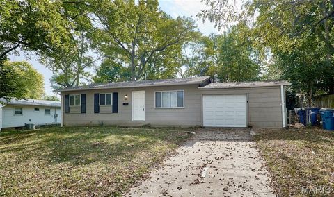 20 Ville Teresa Court Hazelwood MO 63042