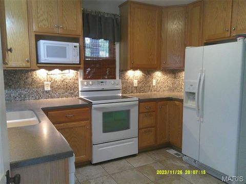 Tiny photo for Webster Groves, MO 63119 (MLS # 25065065)