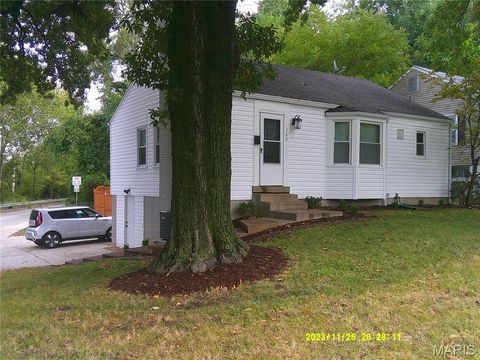  Webster Groves MO 63119