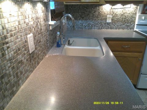 Tiny photo for Webster Groves, MO 63119 (MLS # 25065065)