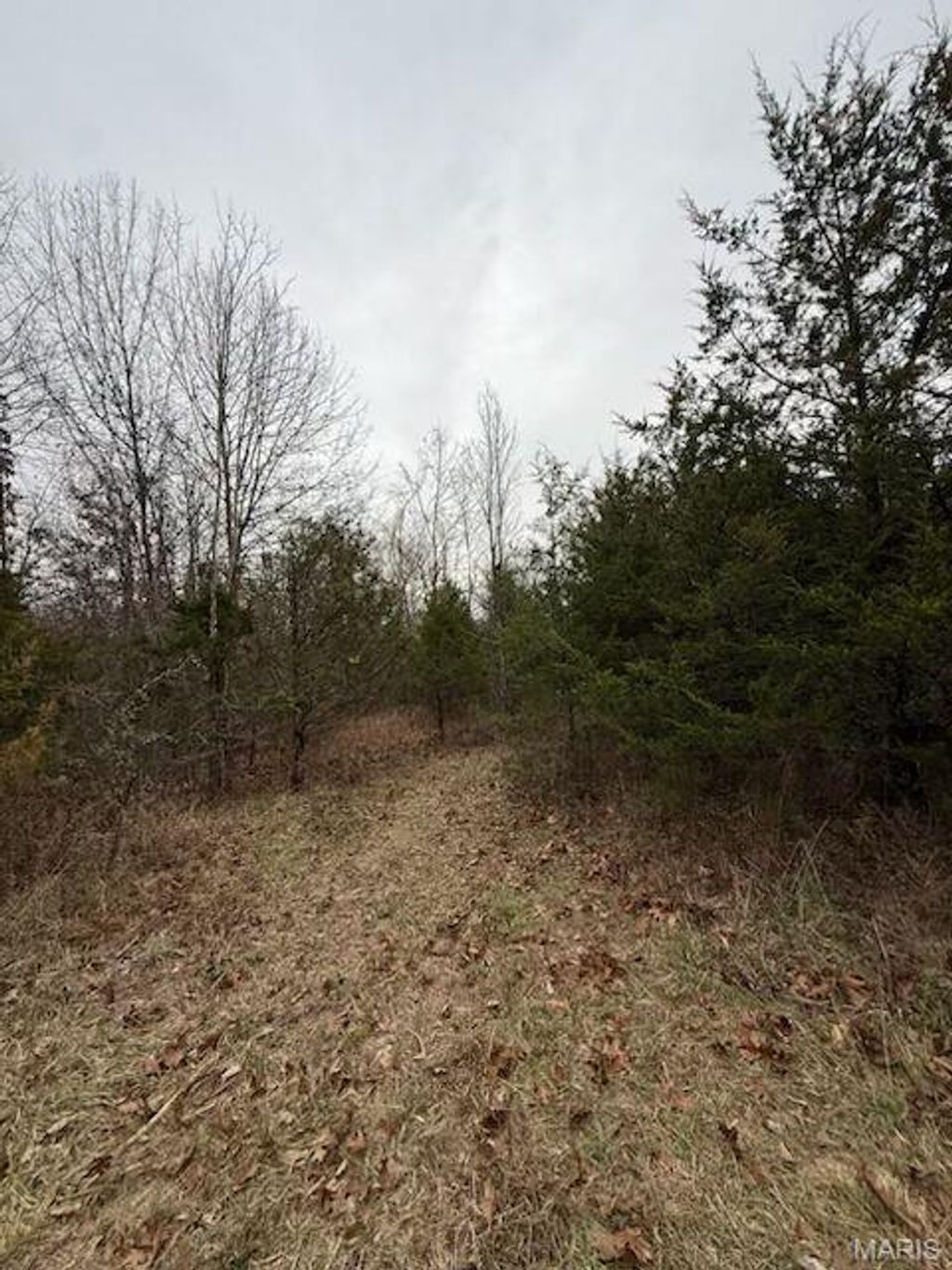 Photo of 5387 Hurryville Road, Farmington, MO 63640 (MLS # 25080950)