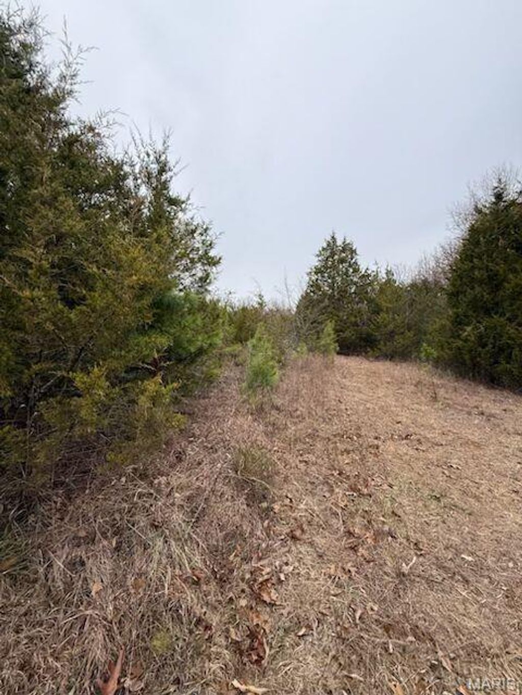 Photo of 5387 Hurryville Road, Farmington, MO 63640 (MLS # 25080950)