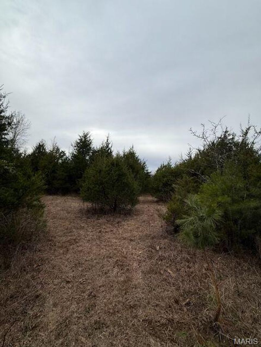Here's your chance to build your dream home on 13 acres m/l. Very private. Property has home on it that is not livable. Outbuilding and plenty of trees surrounding property.