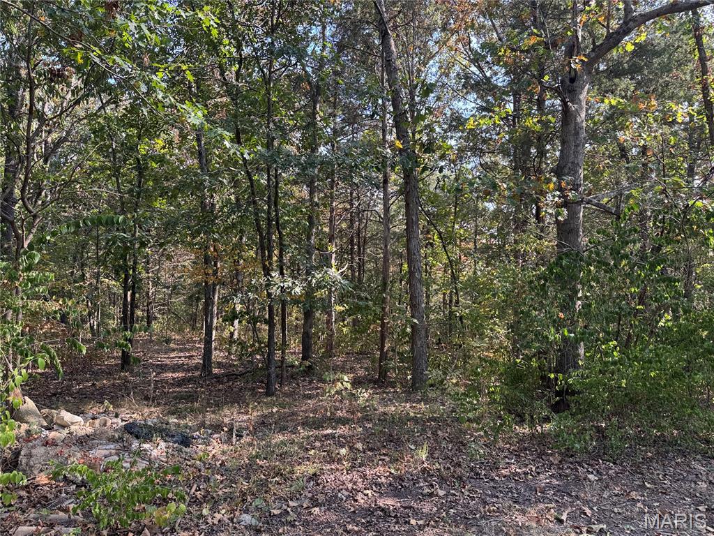 11679 State Route 21