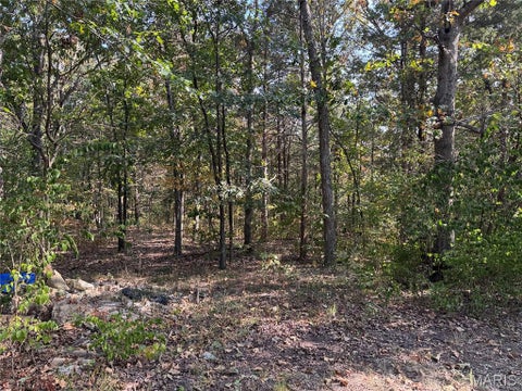 Photo of 11679 State Route 21, Hillsboro, MO 63050 (MLS # 26059217)