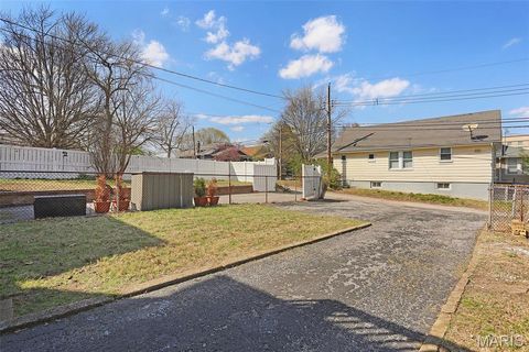 Tiny photo for 6023 Elizabeth Avenue, St Louis, MO 63139 (MLS # 26017749)