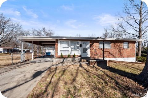 Photo of 1325 Kappel Drive, St Louis, MO 63135 (MLS # 26002248)
