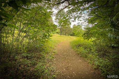 Tiny photo for 37230 Highway 21, Lesterville, MO 63654 (MLS # 26068064)