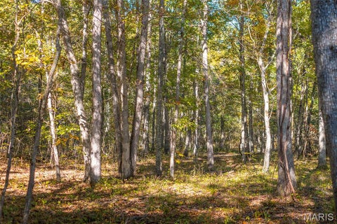 Tiny photo for 37230 Highway 21, Lesterville, MO 63654 (MLS # 26068064)