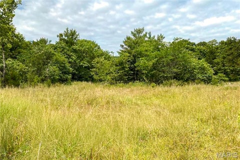 Tiny photo for 37230 Highway 21, Lesterville, MO 63654 (MLS # 26068064)