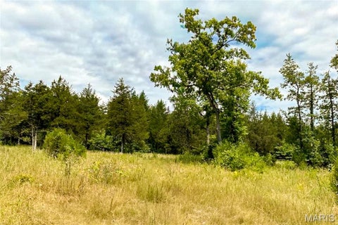 Tiny photo for 37230 Highway 21, Lesterville, MO 63654 (MLS # 26068064)