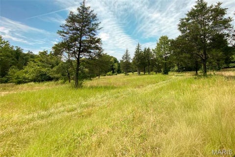 Tiny photo for 37230 Highway 21, Lesterville, MO 63654 (MLS # 26068064)