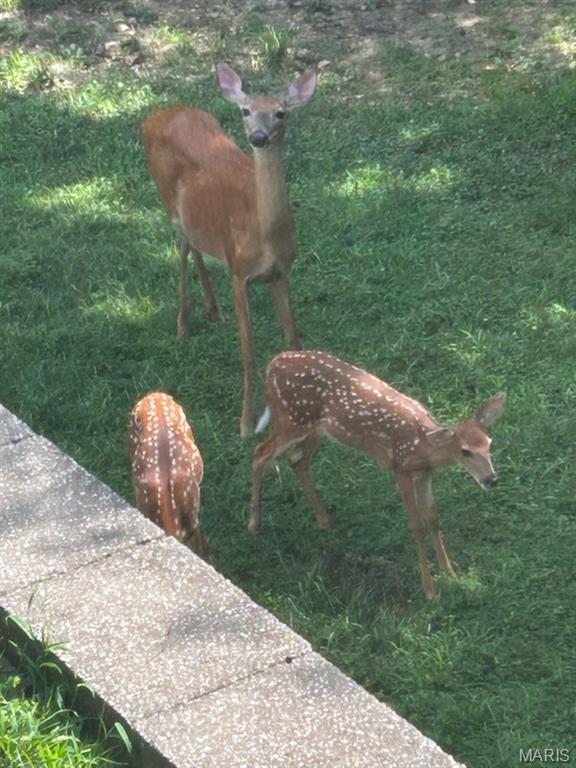 Fischer Pointe Estates Add 2 - Residential