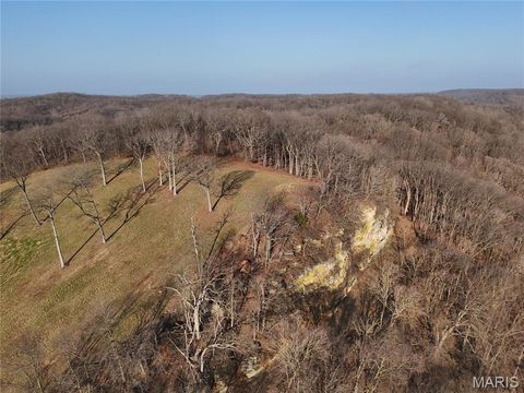 Tiny photo for 4015 Pike 9140, Louisiana, MO 63353 (MLS # 26013700)