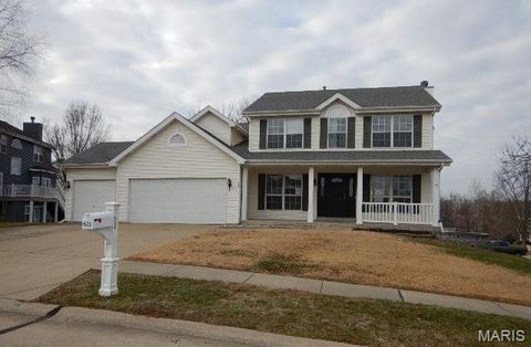 Photo of 621 Zumwalt Crossing, OFallon, MO 63366 (MLS # 25082535)