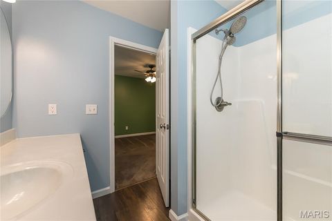 Tiny photo for 131 Wabash Way, Troy, MO 63379 (MLS # 25064004)