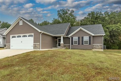 Tiny photo for 131 Wabash Way, Troy, MO 63379 (MLS # 25064004)
