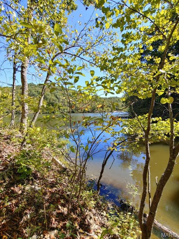 Lake Sherwood Estates - Land