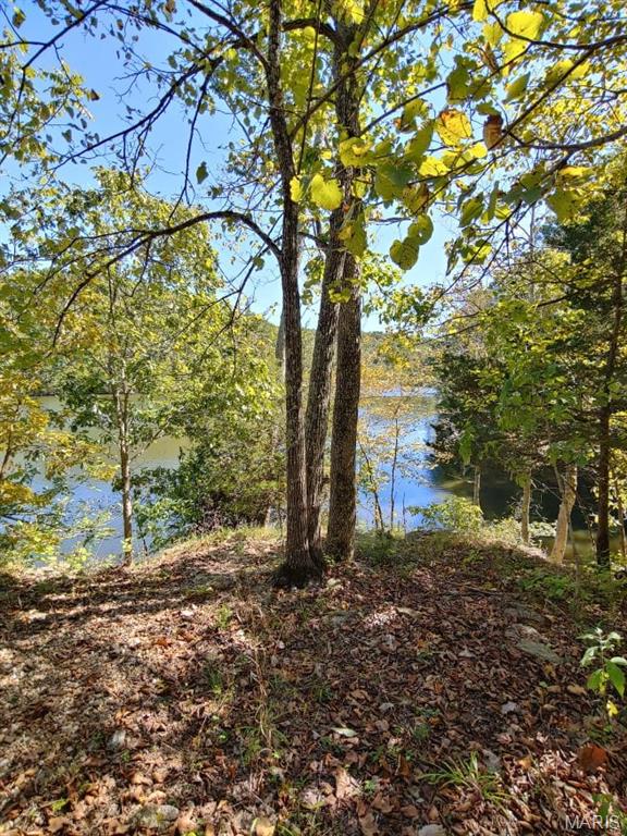 Lake Sherwood Estates - Land