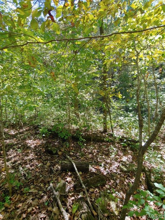 Lake Sherwood Estates - Land