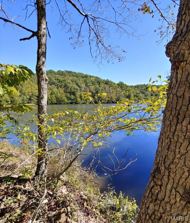 Lake Sherwood Estates - Land