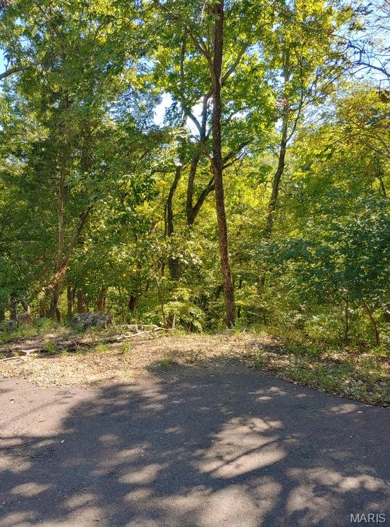 Lake Sherwood Estates - Land