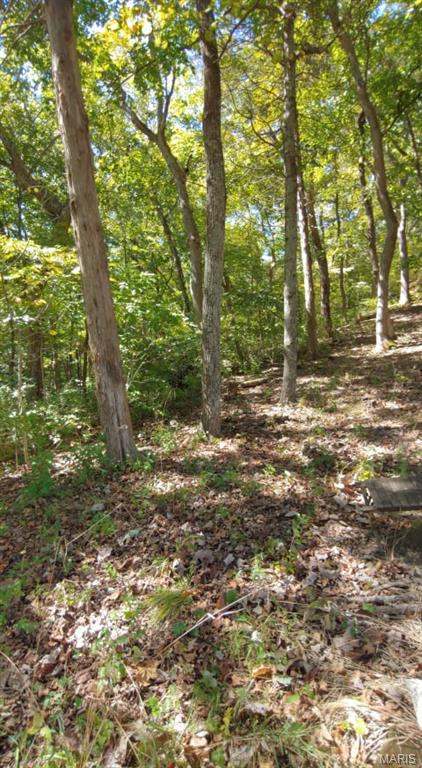 Lake Sherwood Estates - Land