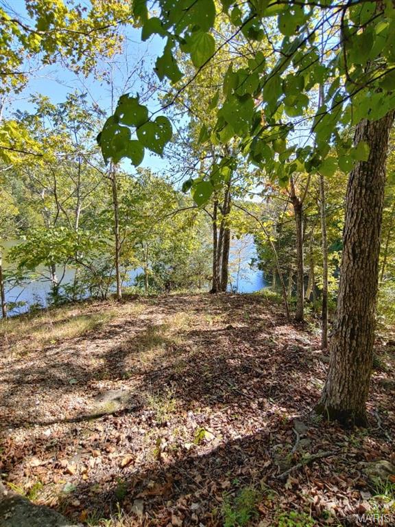 Lake Sherwood Estates - Land