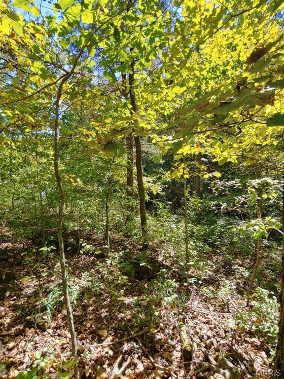 Lake Sherwood Estates - Land