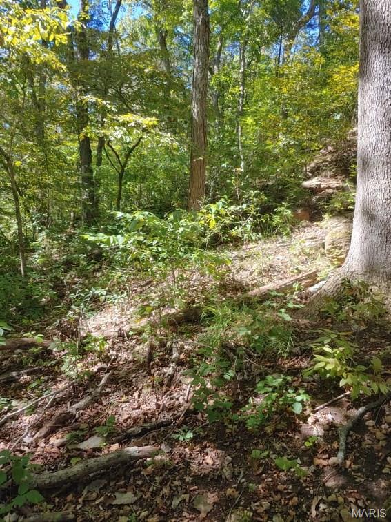 Lake Sherwood Estates - Land