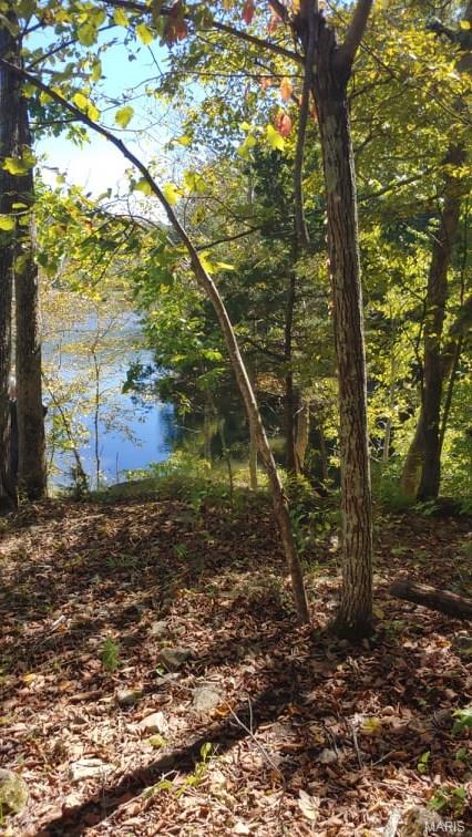 Lake Sherwood Estates - Land