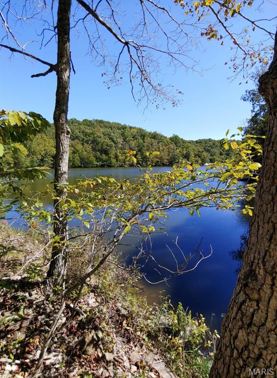 Lake Sherwood Estates - Land
