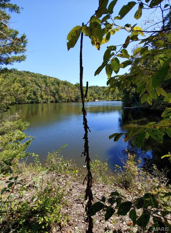 Lake Sherwood Estates - Land