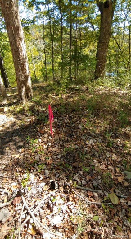 Lake Sherwood Estates - Land