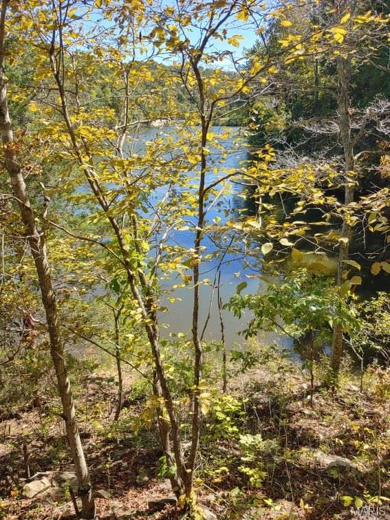 Lake Sherwood Estates - Land