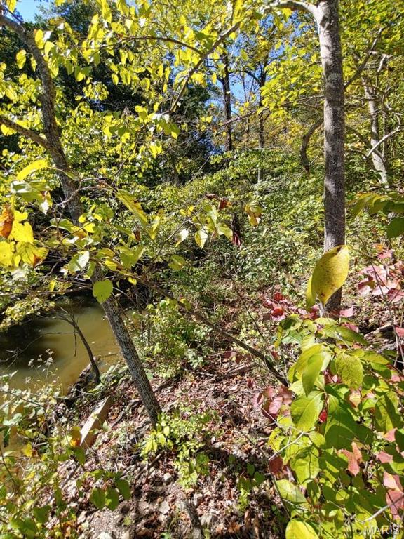 Lake Sherwood Estates - Land