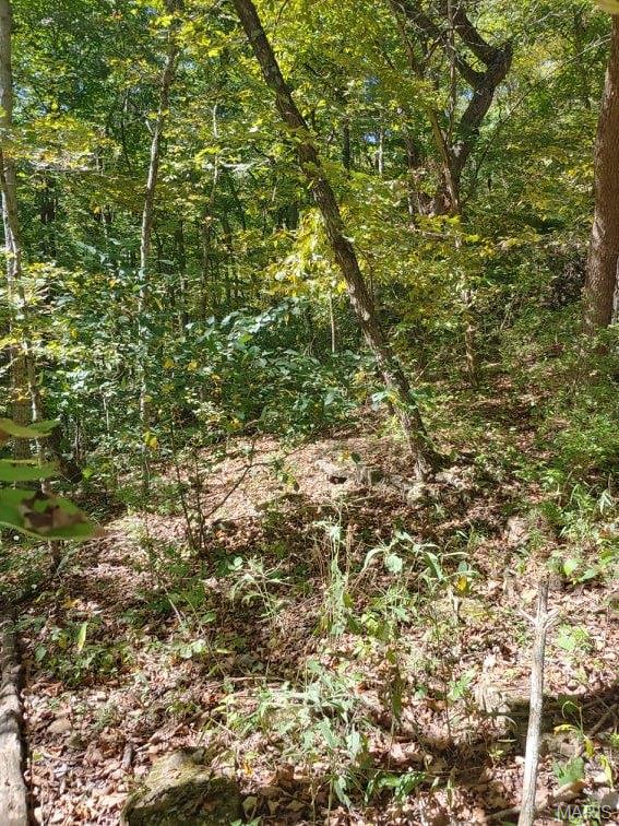 Lake Sherwood Estates - Land