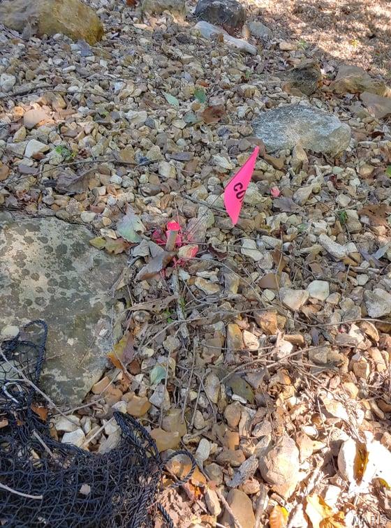 Lake Sherwood Estates - Land